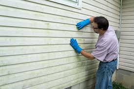 Best Vinyl Siding Installation  in Fergus Falls, MN